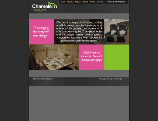 Picture of Chameleon Products company website