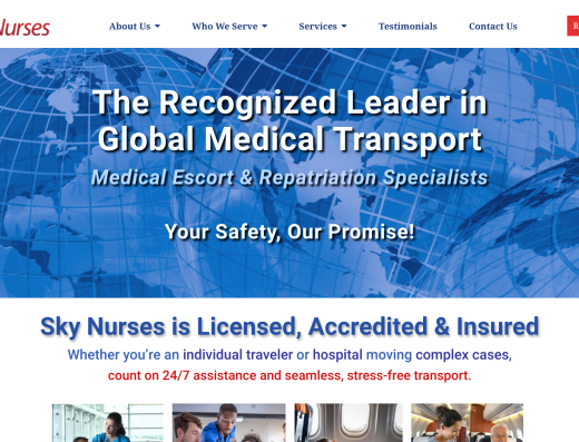Picture of Sky Nurses company website.