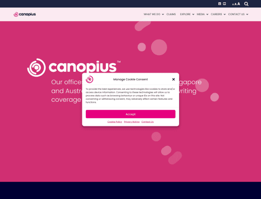 Picture of Canopius Aviation Insurance company website