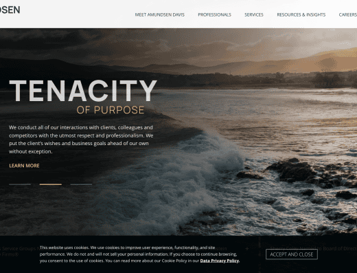 Picture of SmithAmundsen LLC company website