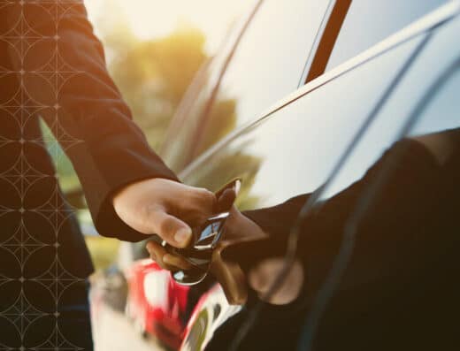 The Melbourne Chauffeur by Rophael