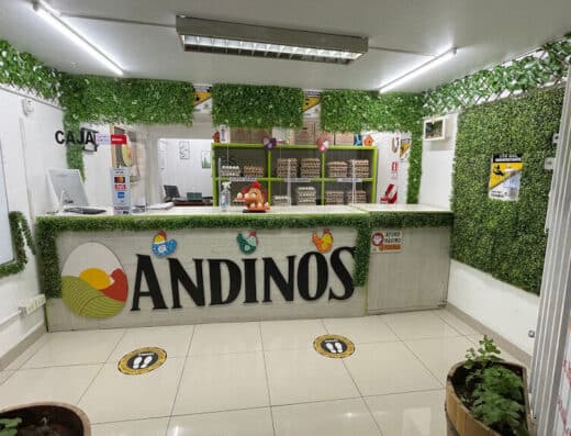 Andino Wings Chile